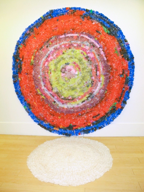 Cathleen Daley created these impressive pieces on the wall and floor with plastic
